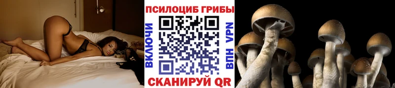 Галлюциногенные грибы прущие грибы  Крым 